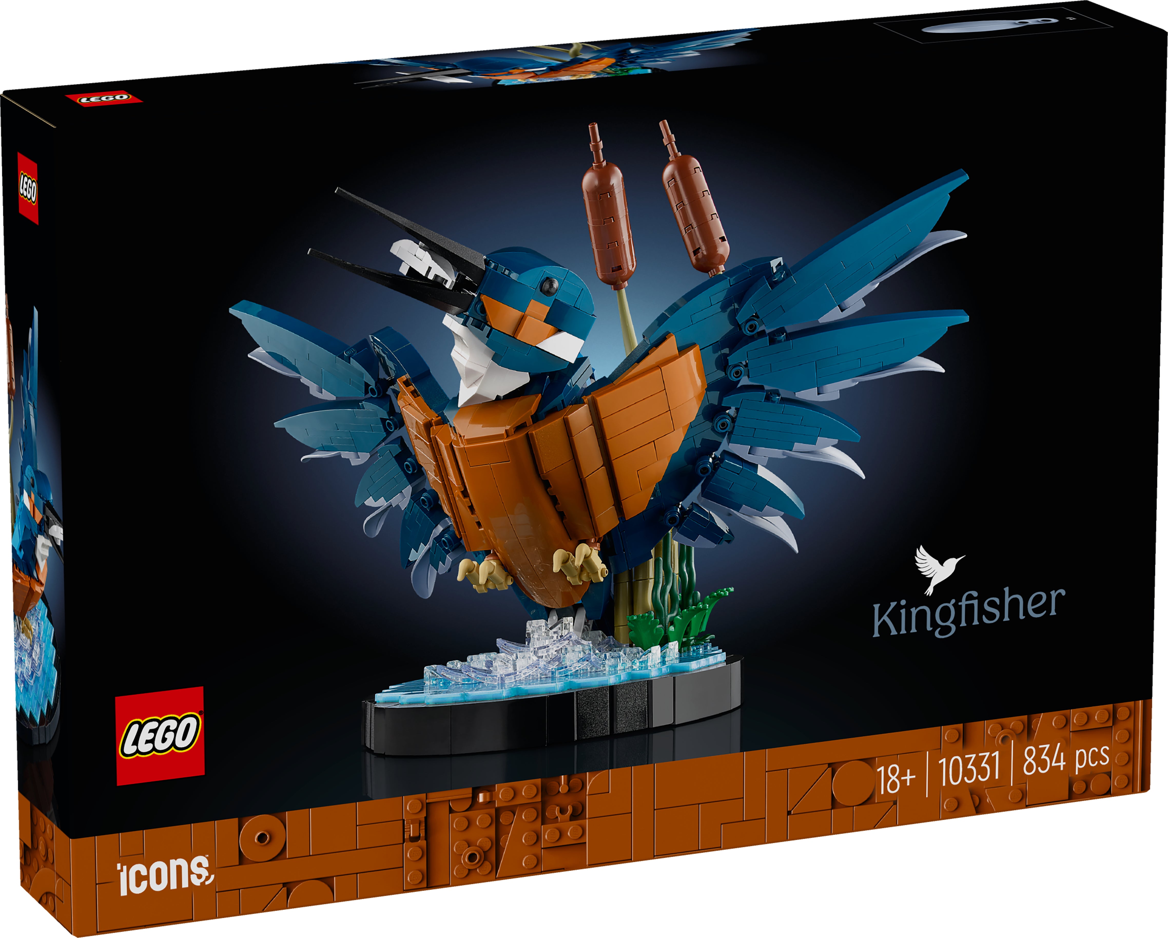 10331 Kingfisher Bird