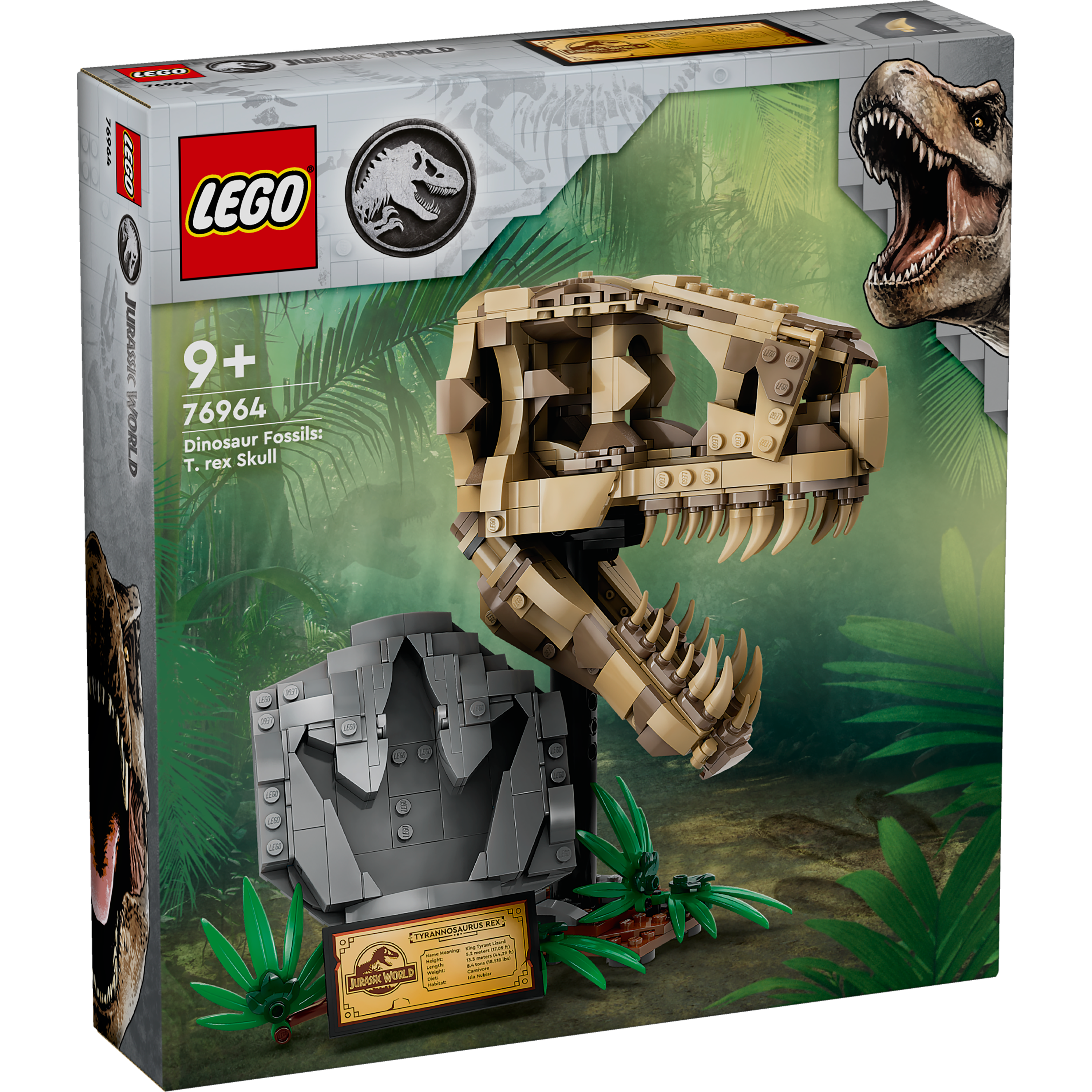 76964 Dinosaur Fossils: T. rex Skull